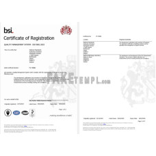 Ireland Dublin BSI fake business registration certificate Word and PDF template