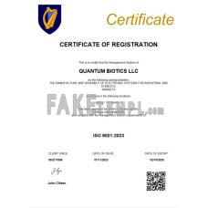 Ireland fake business registration certificate Word and PDF template