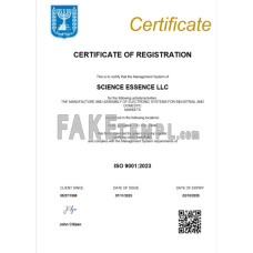 Israel fake business registration certificate Word and PDF template