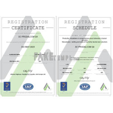 Italy fake business registration certificate Word and PDF template