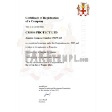 Jamaica fake business registration certificate Word and PDF template