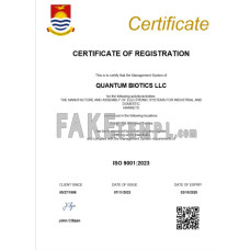 Kiribati fake business registration certificate Word and PDF template