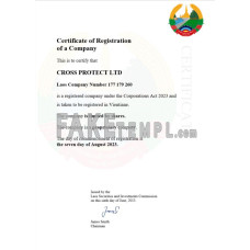 Laos fake business registration certificate Word and PDF template