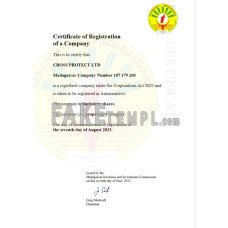 Madagascar fake business registration certificate Word and PDF template