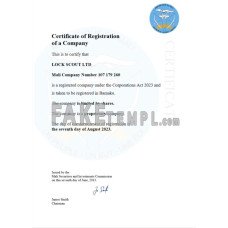 Mali fake business registration certificate Word and PDF template