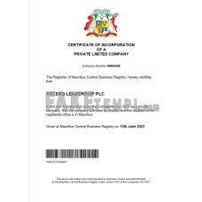 Mauritius fake business registration certificate Word and PDF template