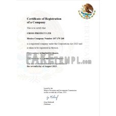 Mexico fake business registration certificate Word and PDF template