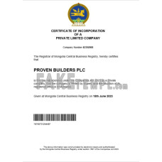 Mongolia fake business registration certificate Word and PDF template