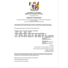 New Zealand fake business registration certificate Word and PDF template