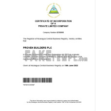 Nicaragua fake business registration certificate Word and PDF template