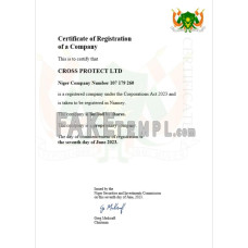 Niger fake business registration certificate Word and PDF template