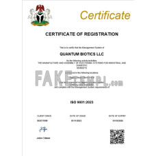 Nigeria fake business registration certificate Word and PDF template