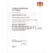 Norway fake business registration certificate Word and PDF template