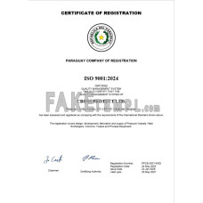 Paraguay fake business registration certificate Word and PDF template