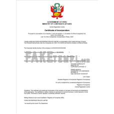 Peru fake business registration certificate Word and PDF template