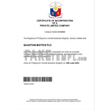 Philippines fake business registration certificate Word and PDF template