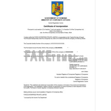 Romania fake business registration certificate Word and PDF template