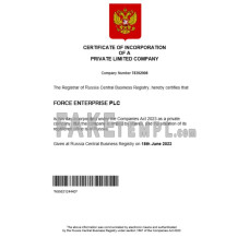 Russia fake business registration certificate Word and PDF template