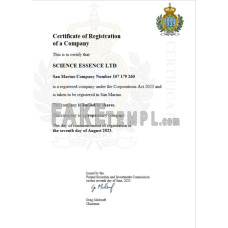 San Marino fake business registration certificate Word and PDF template