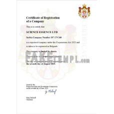 Serbia fake business registration certificate Word and PDF template