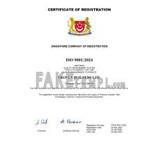 Singapore fake business registration certificate Word and PDF template