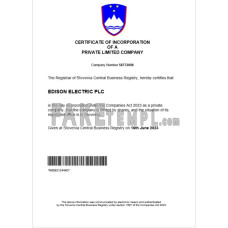 Slovenia fake business registration certificate Word and PDF template