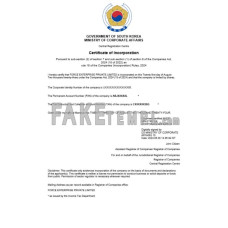 South Korea fake business registration certificate Word and PDF template