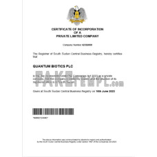 South Sudan fake business registration certificate Word and PDF template