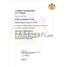 Sweden fake business registration certificate Word and PDF template