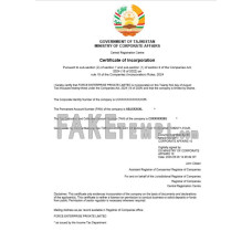 Tajikistan fake business registration certificate Word and PDF template