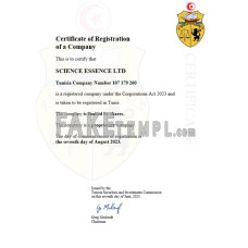 Tunisia fake business registration certificate Word and PDF template