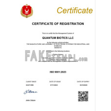 Turkey fake business registration certificate Word and PDF template