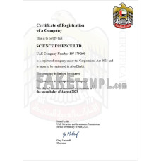 UAE fake business registration certificate Word and PDF template