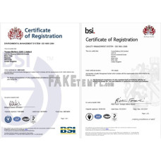 UK BSI fake business registration certificate Word and PDF template