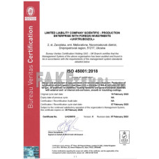 UK Bureau Veritas fake ceritificate of business registration Word and PDF template