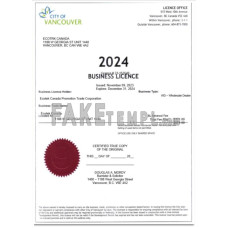 USA City of Vancouver fake certificate of business licence Word and PDF template