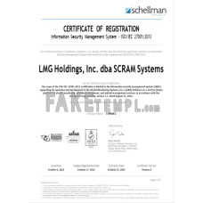 USA LMG fake business registration certificate Word and PDF template