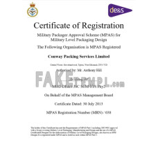 USA MPAS fake business registration certificate Word and PDF template