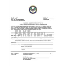 USA Michigan fake business registration certificate Word and PDF template