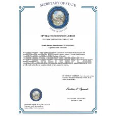 USA Nevada State fake certificate of business license Word and PDF template