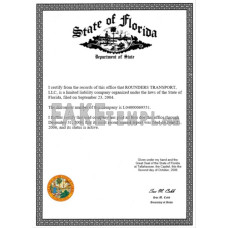 USA State of Florida certificate of business license Word and PDF template