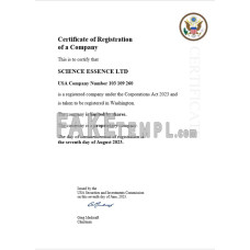 USA fake business registration certificate Word and PDF template