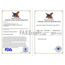 USA fake business registration certificate Word and PDF template