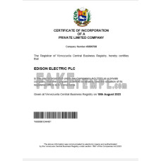 Venezuela fake business registration certificate Word and PDF template