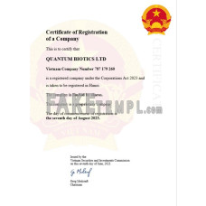 Vietnam fake business registration certificate Word and PDF template