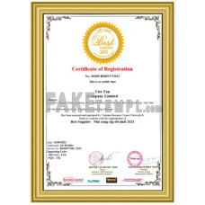 Vietnam fake business registration certificate Word and PDF template