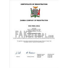 Zambia fake business registration certificate Word and PDF template