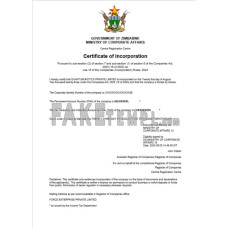 Zimbabwe fake business registration certificate Word and PDF template