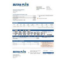 BUTAN PLIN d.o.o. gas fake business utility bill Word and PDF template