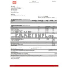 Bulgary electricity fake business utility bill Word and PDF template